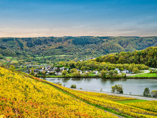 Wall Mural - Panorama shot of Senhals village in the valley along Moselle river bank between rolling hills and steep vineyards in Cochem-Zell district, Germany