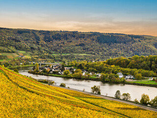 Wall Mural - Senhals village in the valley along Moselle river bank between rolling hills and steep vineyards in Cochem-Zell district, Germany