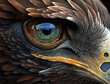 Eagle eye close-up, macro photo, eye of the male Northern Harrier. Generative AI