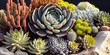 © Brian - Desert succulents - these plants are drought tolerant and store water in thick fleshy leaves - generative AI