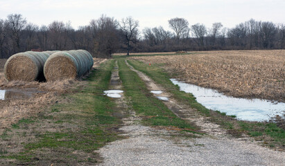 Rural scene of two rows of haystacks in the country. 