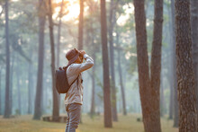 Bird Watcher Is Looking Through Binoculars While Exploring In The Pine Forest For Surveying And Discovering The Rare Biological Diversity And Ecologist On The Field Study Concept