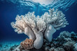 Beautiful elaborated white hermatypic marine corals of various species under the sea. Generative AI 