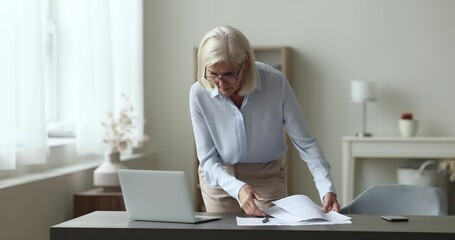 Wall Mural - Focused serious aged businesswoman in glasses stands near workplace with laptop hurry to finish work, paperwork, prepare report, looks through papers, looks busy and absorbed in workday at home office