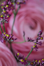 Details Of Small Purple And Yellow Flowers With Pink Flower Background