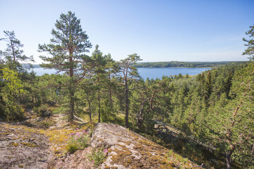 Wall Mural - View of the Ladoga skerries. Karelia Republic, Russia