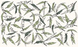© LucyAnne - Set of tropical leaves, hand drawn. Vector illustration for your design