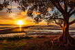 The scene of the Wellington Point Recreation Reserve in the sunset in Brisbane