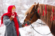 Russian beauty girl in traditional clothes feeding a horse with a red apple  in forest winter