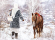 Russian beauty girl in traditional clothes goes to the big red horse with a yoke and buckets.