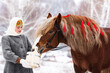 Russian beauty girl in traditional clothes watering a red big stallion from a bucket in forest winter