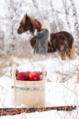 Wall Mural - Red apples in a bucket next to the rocker.
On the background Russian beauty girl in traditional clothes hugging a red big horse in forest winter