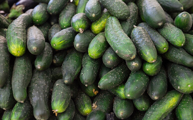 Wall Mural - cucumbers on market counter in wicker basket