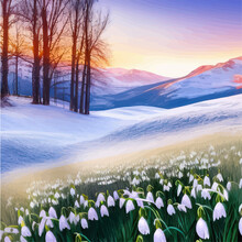 Spring Landscape High Mountain Flower Field Of Snowdrops Against The Background Of Mountains And A Sunset Sky With Clouds, Illustration