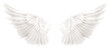 © POSMGUYS - Realistic angel wings. White wing isolated. png transparency