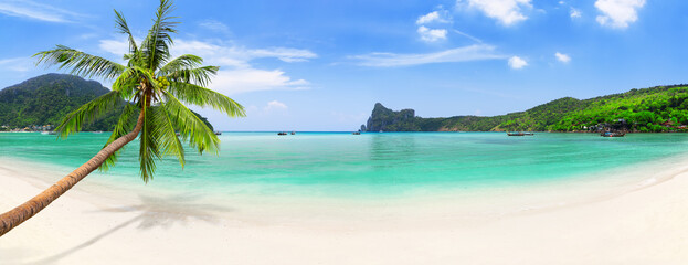 Sticker - Panorama of longtail boats, coconut palm tree and blue water at Loh Dalum Beach in Ko Phi Phi Don Island, Thailand.