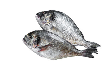 Raw fresh organic dorado or sea bream fish on wooden board with herbs and lime.  Isolated, transparent background