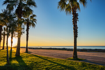 Batumi embankment at sunset. Sunset on the Black Sea with palm trees and trees on the background of the setting sun.