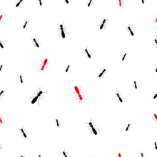  Ant Trail Silhouette Seamless Pattern, A Path Of Insects In Search Of Food. Black And Red Ants