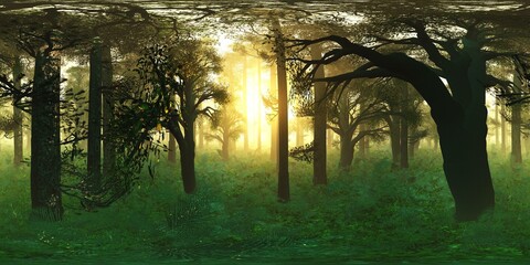 Wall Mural - Trees in the fog. HDRI, environment map , Round panorama, spherical panorama, equidistant projection, panorama 360, Forest and swamp, 3d rendering