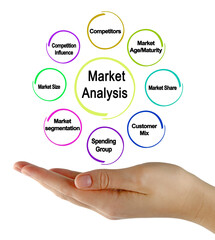 Wall Mural - Eight Components of Market Analysis