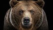 © Silvere - Close-up wild brown furry grizzly bear face black background wallpaper created with generative AI technology