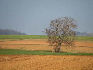 Poster - Hügelige Agrarlandschaft