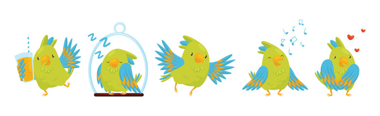 Wall Mural - Funny Parrot with Green Feathers in Different Activities Vector Set