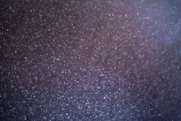 Wall Mural - dust particles floating on black background. glittering sparkling flickering glowing. high quality p