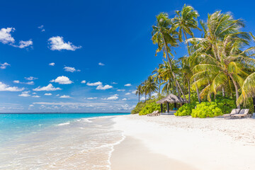 Aufkleber - Closeup sea sand palm trees beach. Panoramic island landscape. Inspire tropical coast sea bay horizon. Sunny blue sky, calm tranquil relax summer vacation travel holiday background. Freedom nature