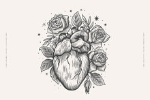 Human Heart Surrounded By Roses In Engraving Style. Vintage Symbol Of Love On A Light Background. Vintage Vector Illustration For Postcard, Book Or Tattoo Design.