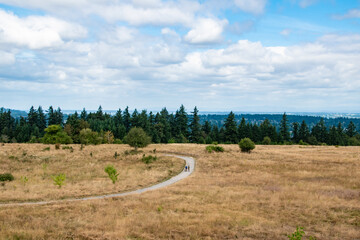 Wall Mural - Trail and Rolling Hills With Dry Meadows in Powell Butte Park in East Portland, OR