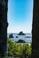Wall Mural - Arch Rock and Rocks Along Coast in Summer of Indian Beach, Ecola State Park, Oregon Coast