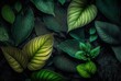 Grüne Blätter als Hintergrundbild. Exotische Pflanzen für eine Grundlage für Banner und Text 