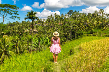 Canvas Print - Tegallalang rice terrace on Bali