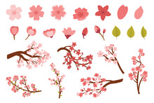 Set Of Sakura Cherry Flower Bloom Isolated On White Background. Pink Blossoms, Green Leaves And Branches Design Elements
