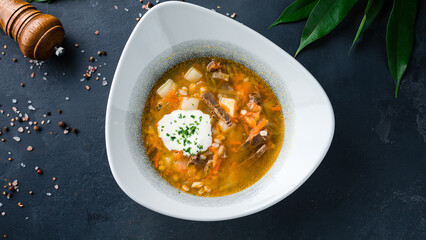 Sticker - Hot pickle soup with pickled cucumbers, potatoes, carrots, meat and sour cream.