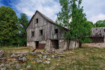 Wall Mural - old abandoned house in village. Croatia.