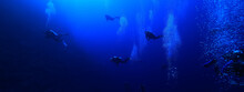 Group Of Divers Depth Bubbles Dive