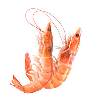 Shrimps Isolated On Transparent Png