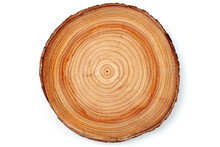 Cross Cut Round Pieces Of Cedar With Annual Rings Isolated On White Background.