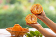 Hand Holding Fresh Sweet Orange fruit over blur greenery background, Dekopon orange or sumo mandarin tangerine over green natural Blur background.