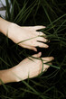 © Cavan Images - Hand of woman touching grasses