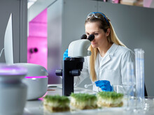 Young Scientist Looking Through Microscope In Laboratory