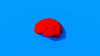 Wall Mural - Bright Red Human Brain Vivid Blue Background Medical Mind Intelligence Think Side View 3d illustration render	