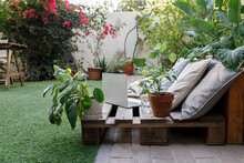 Working Space With Potted Plants In Backyard