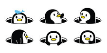 Penguin Vector Bird Icon Hole Hiding Logo Cartoon Character Doodle Illustration Symbol Design Isolated Clip Art
