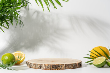 Wooden slice podium on white background with palm leaves, lemon and lime slices. Modern product display for advertising and presentation of refreshing summer drinks, natural cosmetics