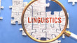 Linguistics being closely examined along with multiple vital concepts and ideas directly related to Linguistics. Many parts of a puzzle forming one, connected whole.,3d illustration