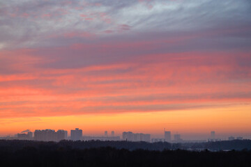 Wall Mural - layered colorful sky over city park at cold dawn in winter morning